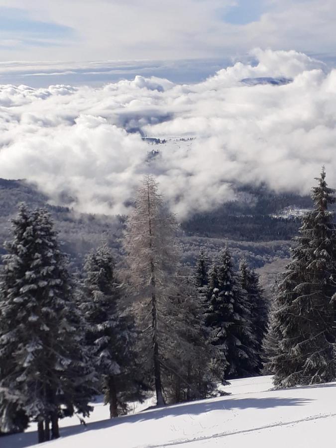 Da C I S A Panzió Tambre dʼAlpago Kültér fotó