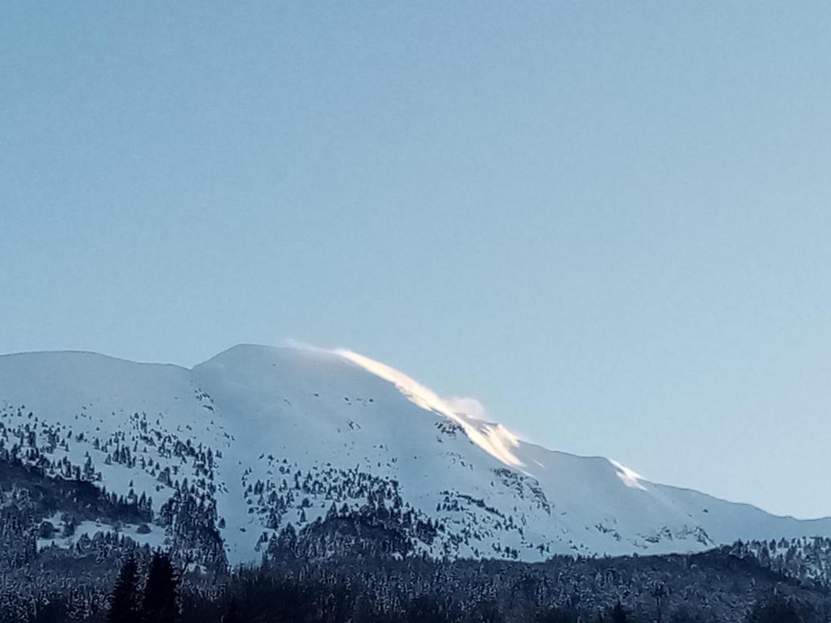 Da C I S A Panzió Tambre dʼAlpago Kültér fotó